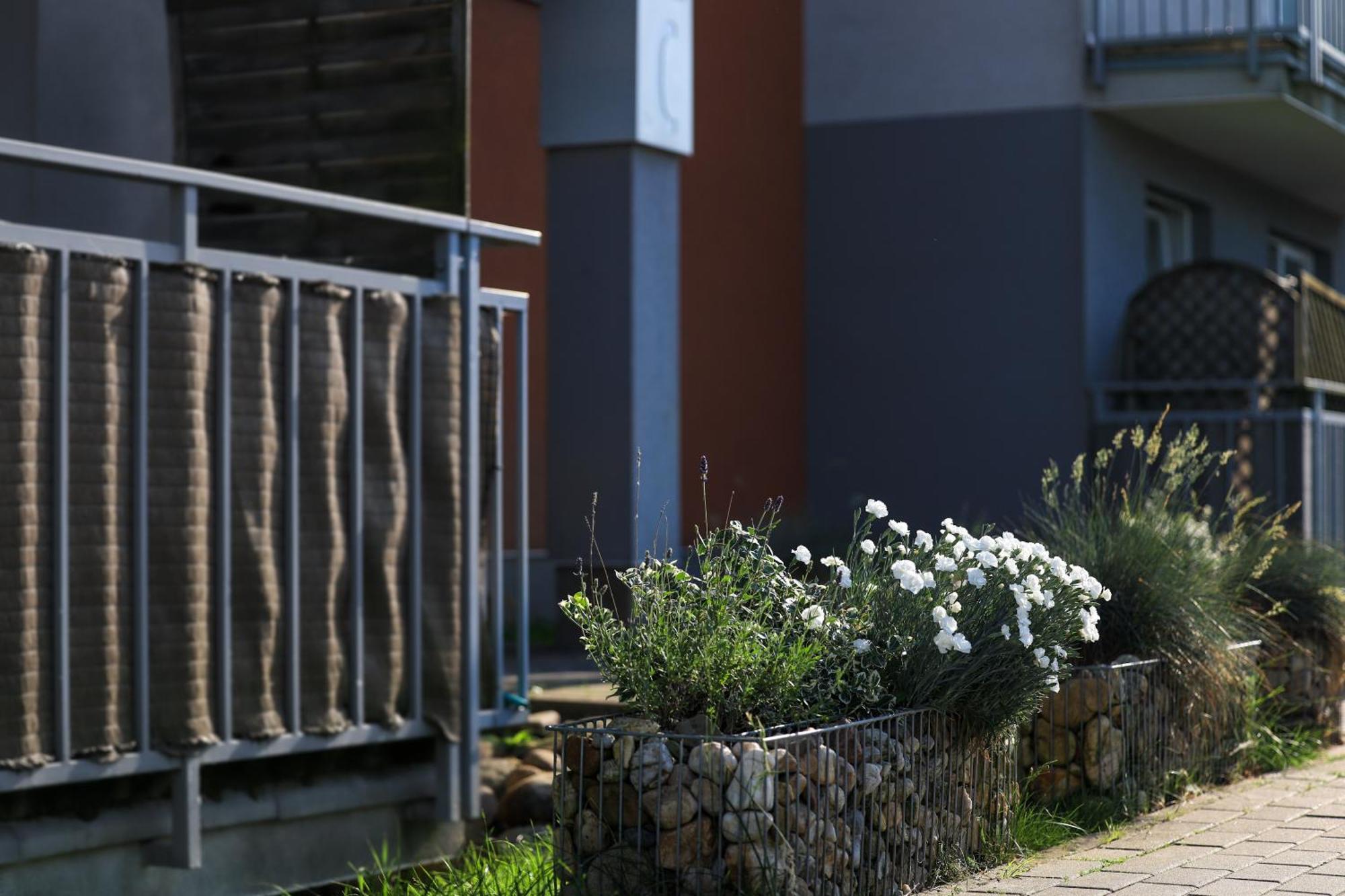 Apartament Komandorski Przy Aquaparku เรดา ภายนอก รูปภาพ